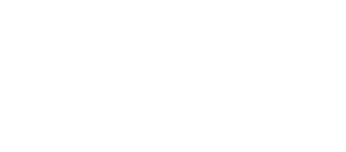 lulushoes.com.mx